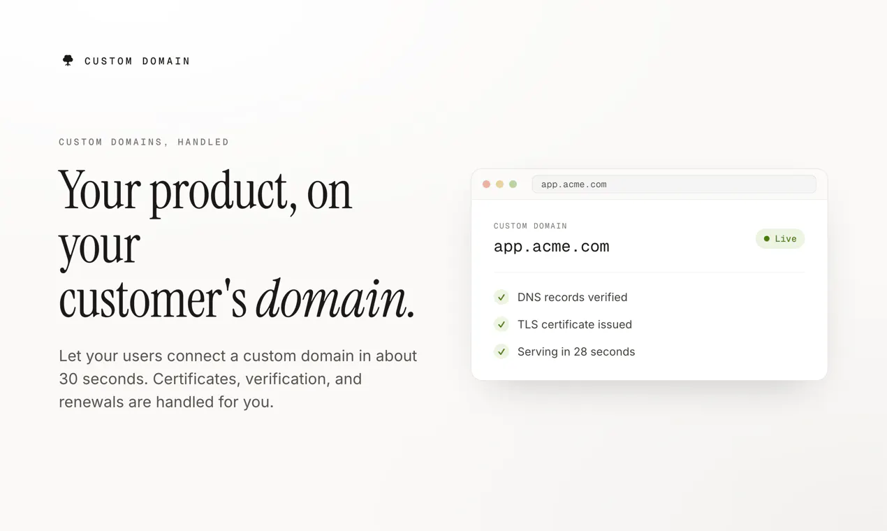 CUSTOM DOMAIN gallery image
