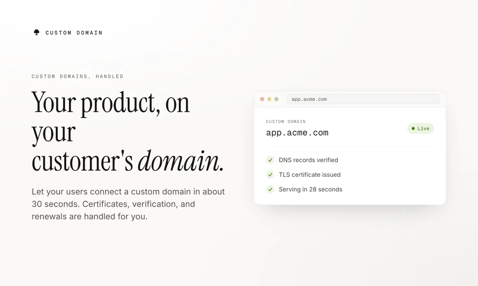 CUSTOM DOMAIN screenshot 1