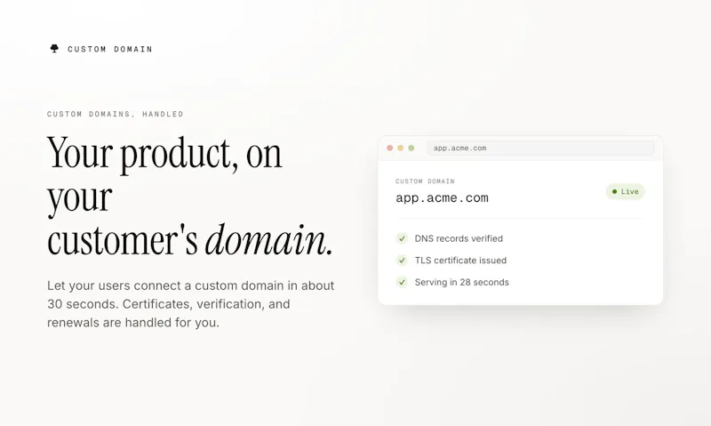 CUSTOM DOMAIN screenshot 1