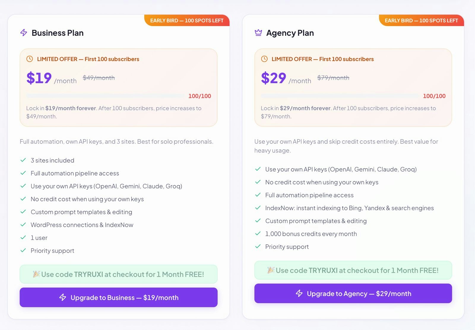 Ruxi Data - SEO Infrastructure gallery image
