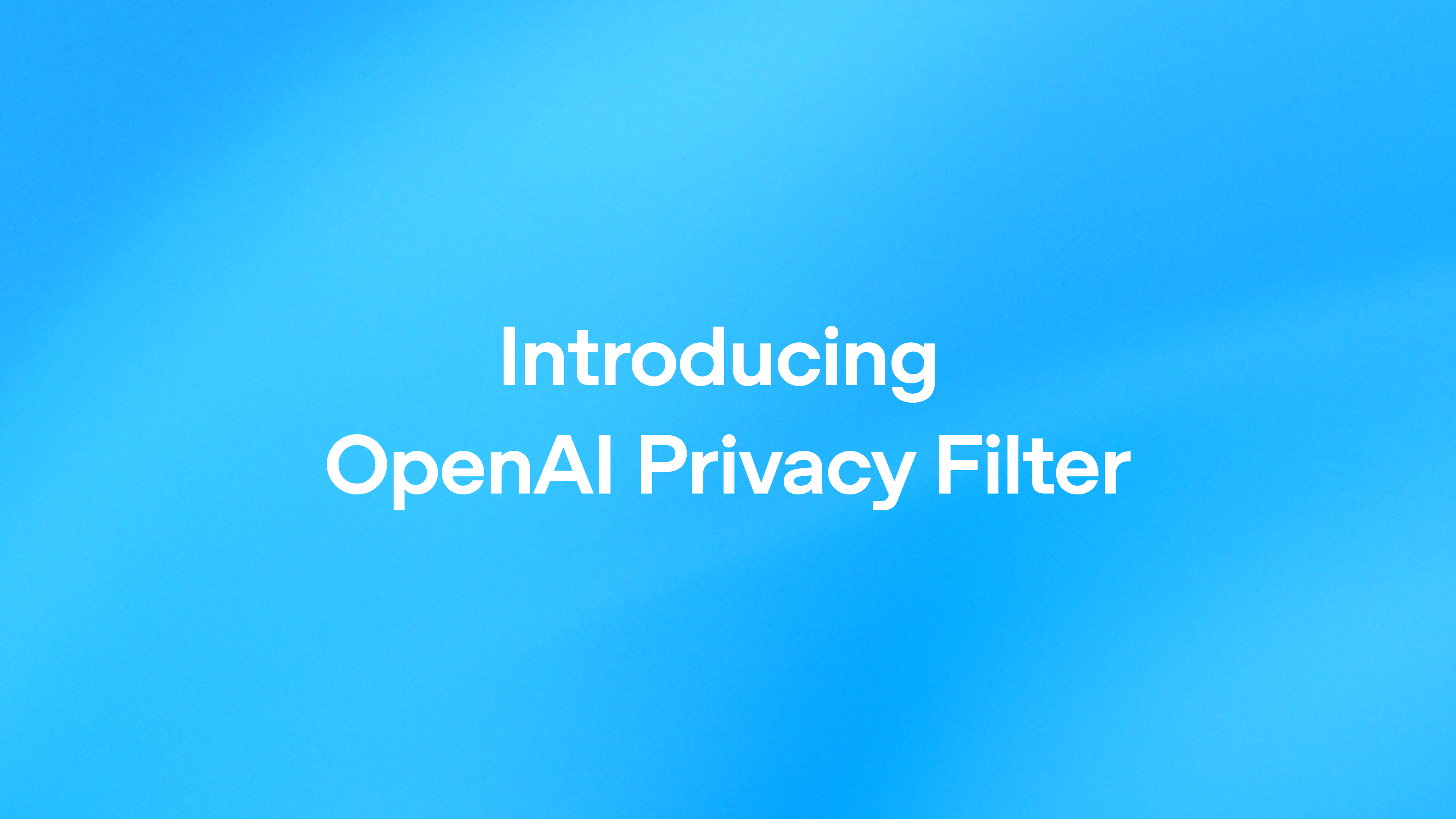 OpenAI Privacy Filter gallery image