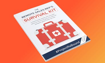 The Remote Sales Rep's Survival Kit gallery image