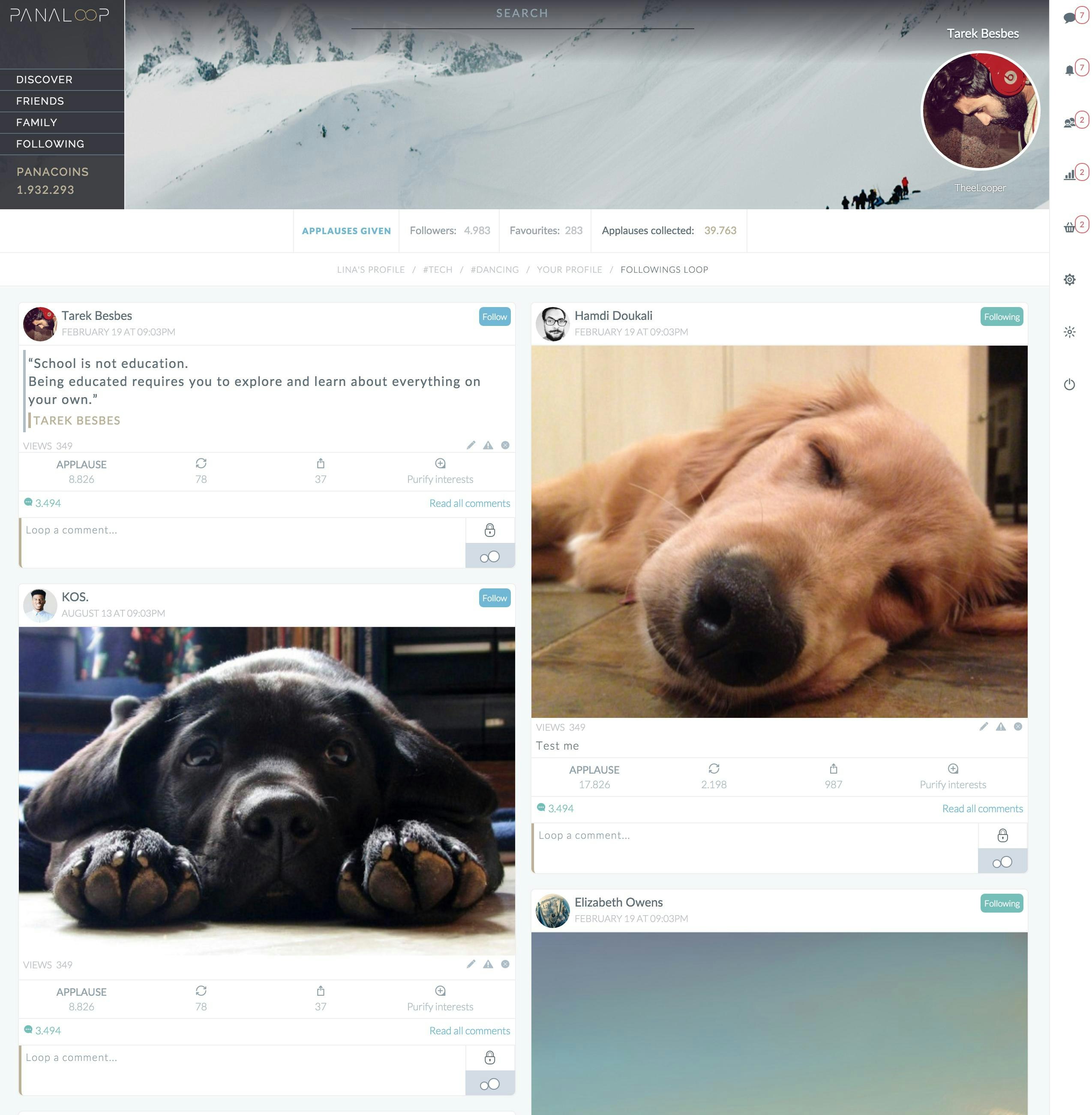 Panaloop gallery image