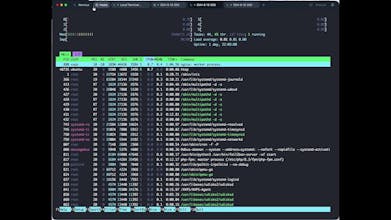 Xermius gallery image