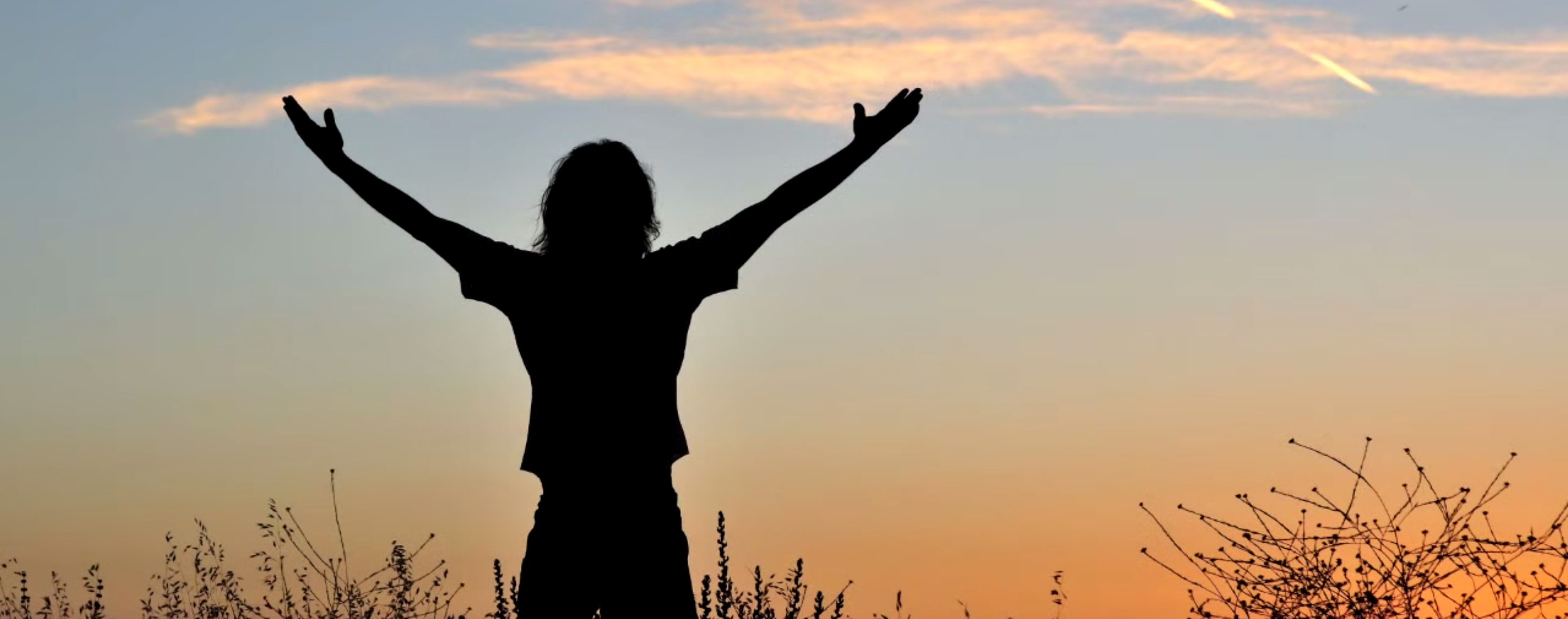 The Practicing Mind gallery image