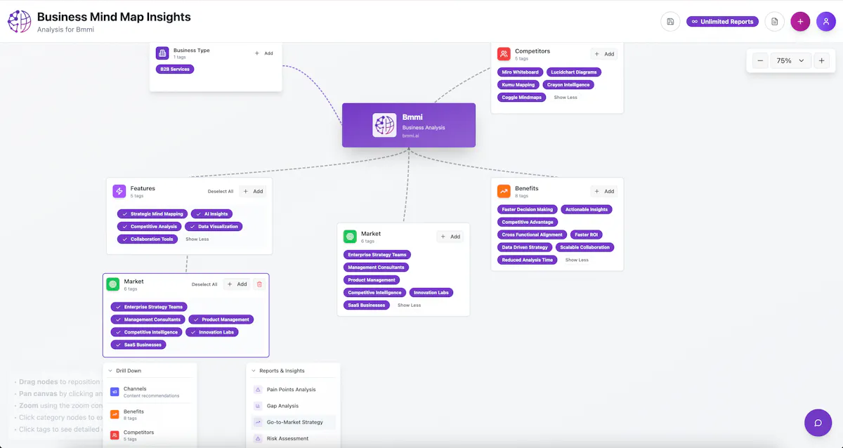 Business Mind Mapping Insights
