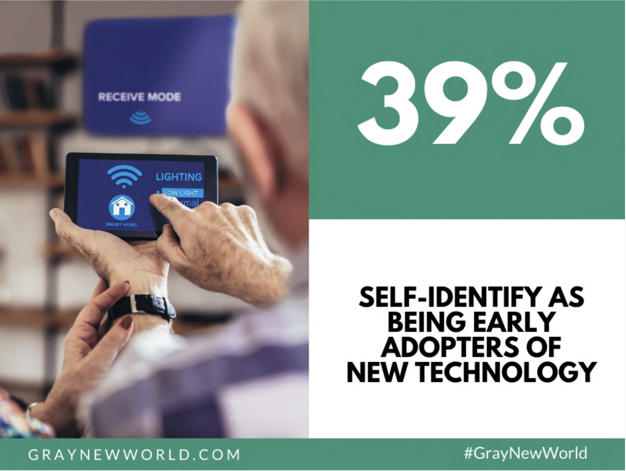 Gray New World gallery image