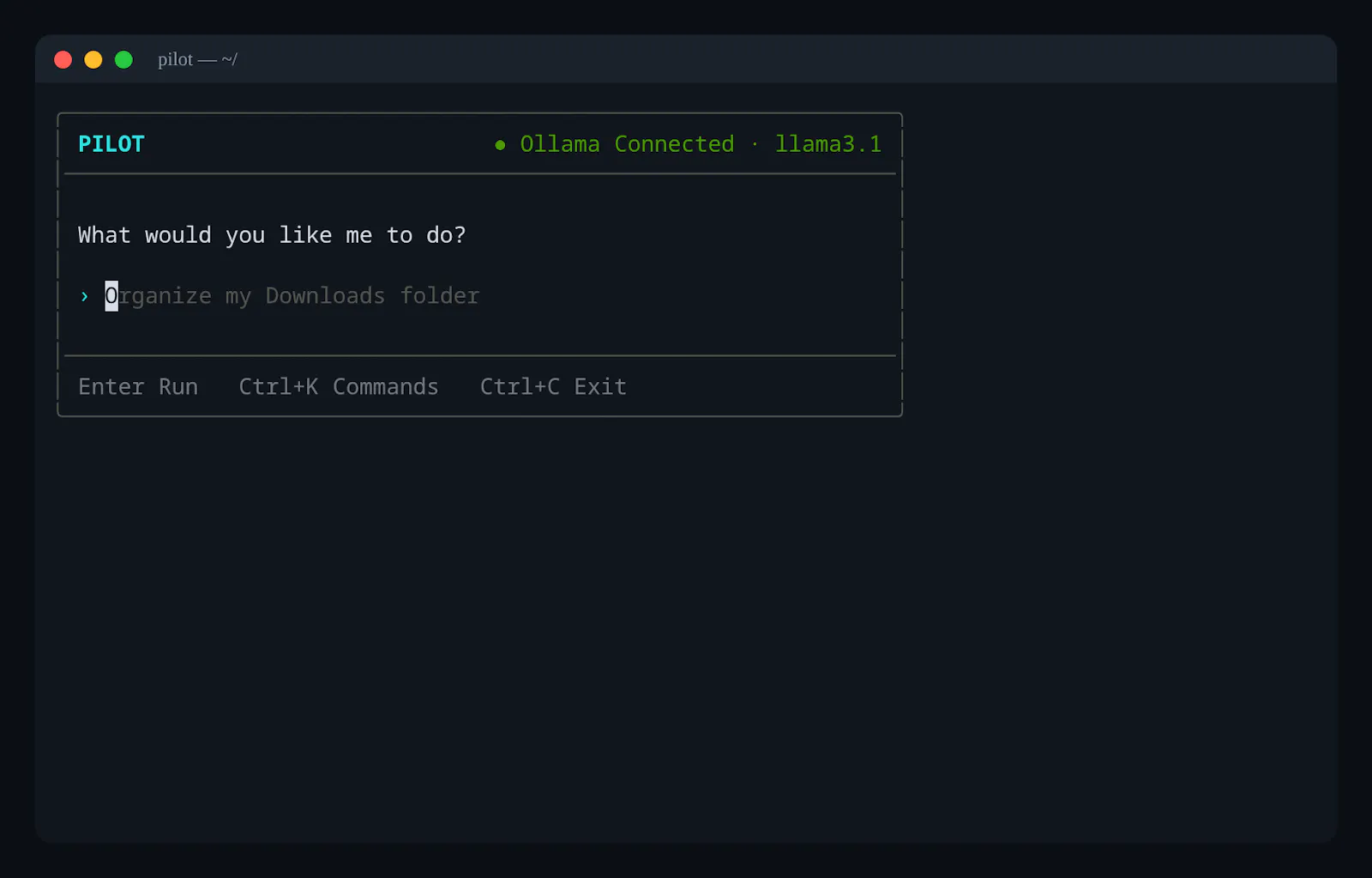 Pilot  screenshot 2