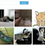 GifMe