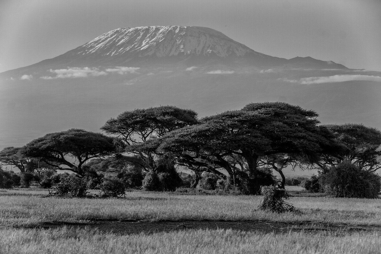 Africantrust Safari gallery image