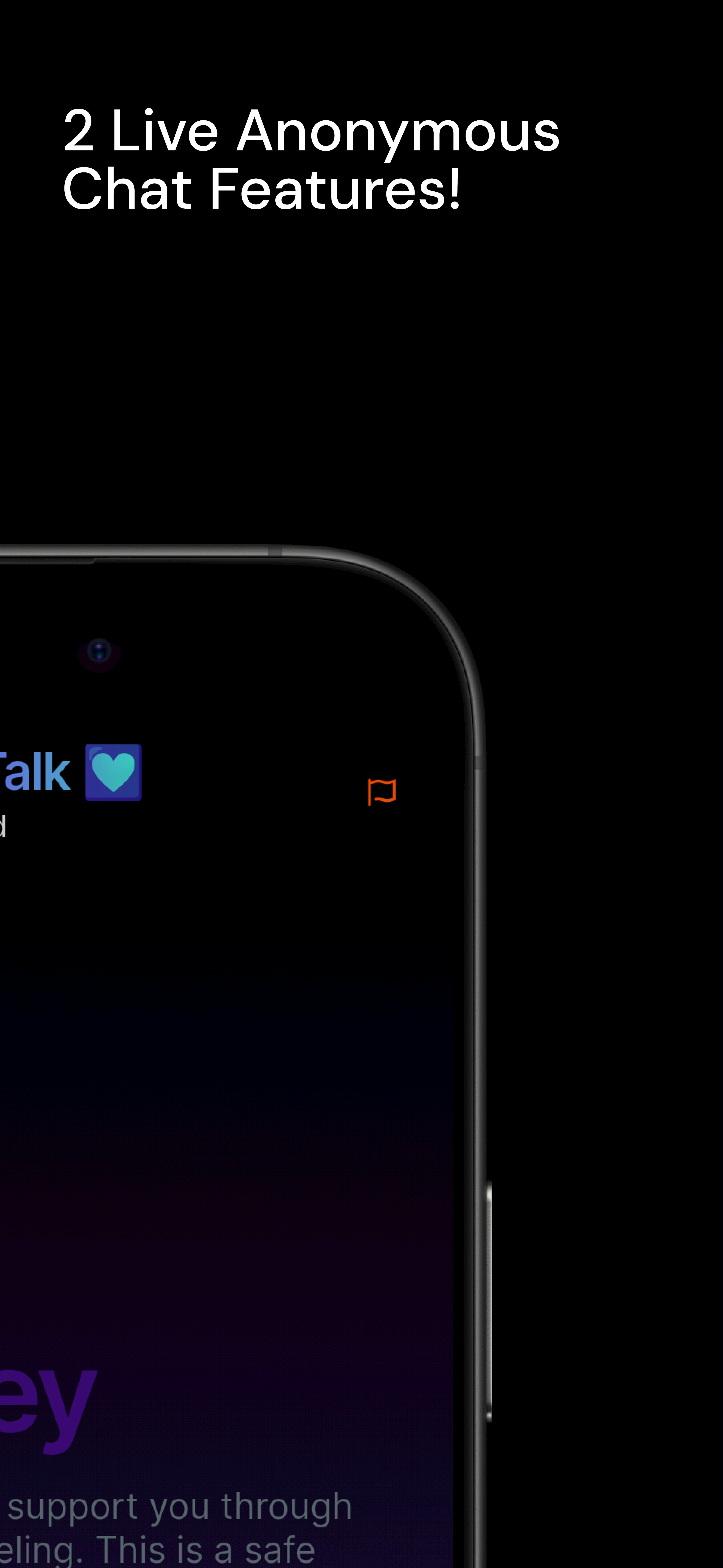 SoulSync Pro gallery image