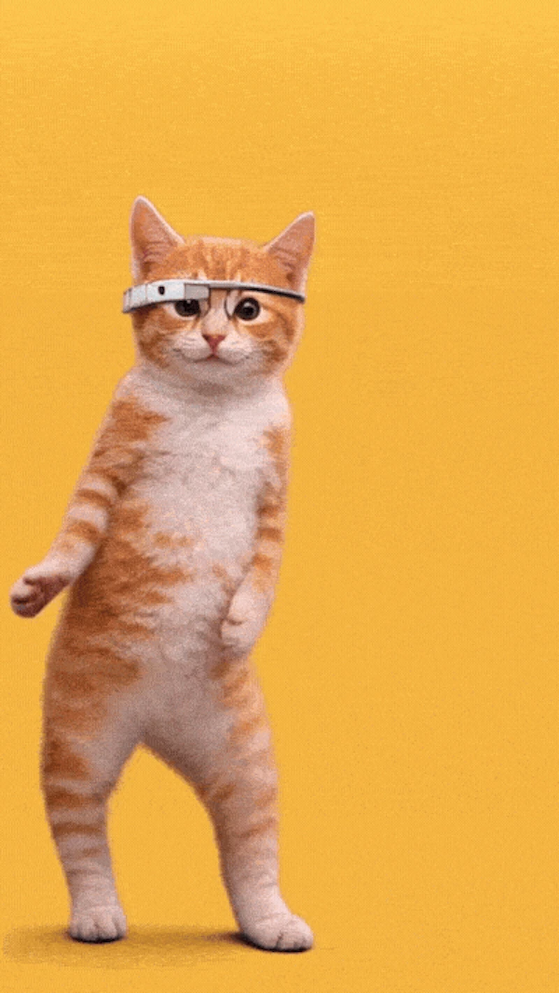DANCING CATS App screenshot 6