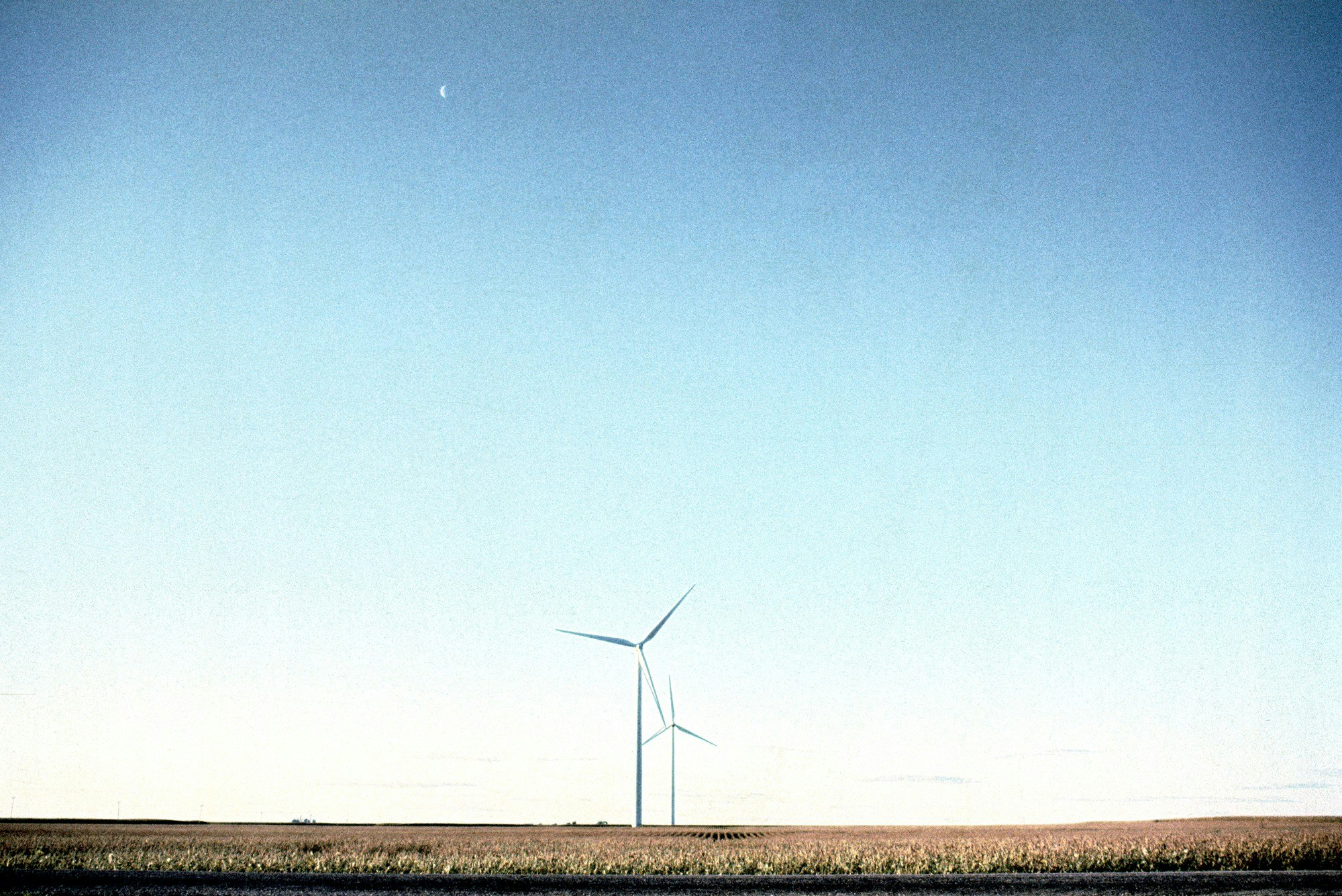 Climate Fest gallery image