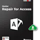 Stellar Repair for Access
