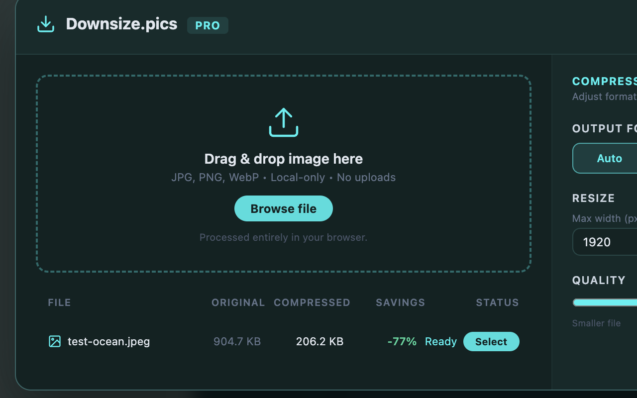 Downsize.pics extension
