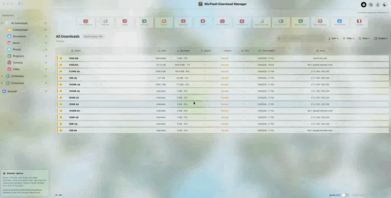 MicFlash Download Manager screenshot 3