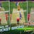 Real Cricket 14: Premier League