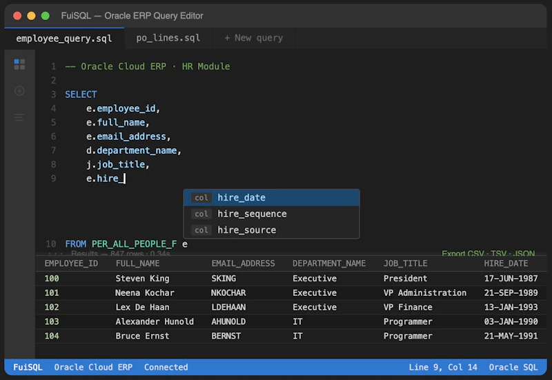 FuiSQL — Oracle Cloud ERP Query Tool screenshot 1