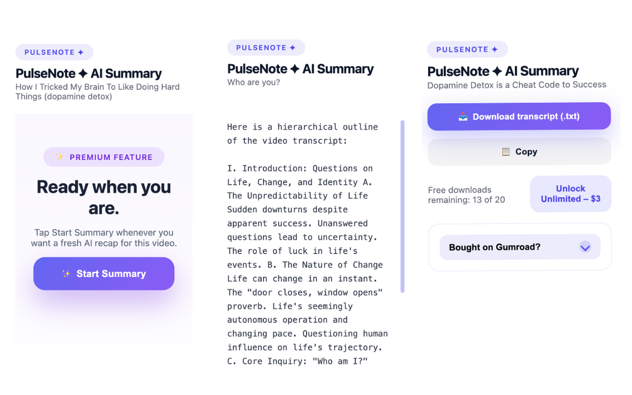 PulseNote – AI Video Summary - Main screenshot showing features and interface