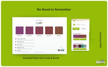 ColorXtra gallery image