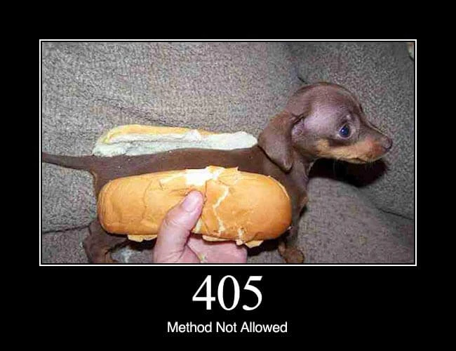 HTTP Status Dogs
