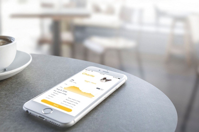 Footloose gallery image