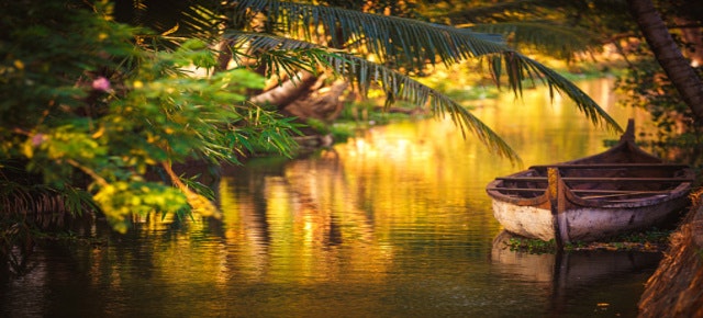 Kerala Honeymoon Packages gallery image