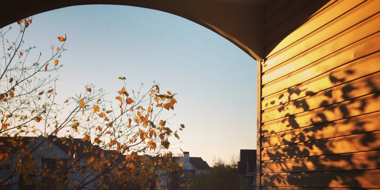 Satchit Haridas cover