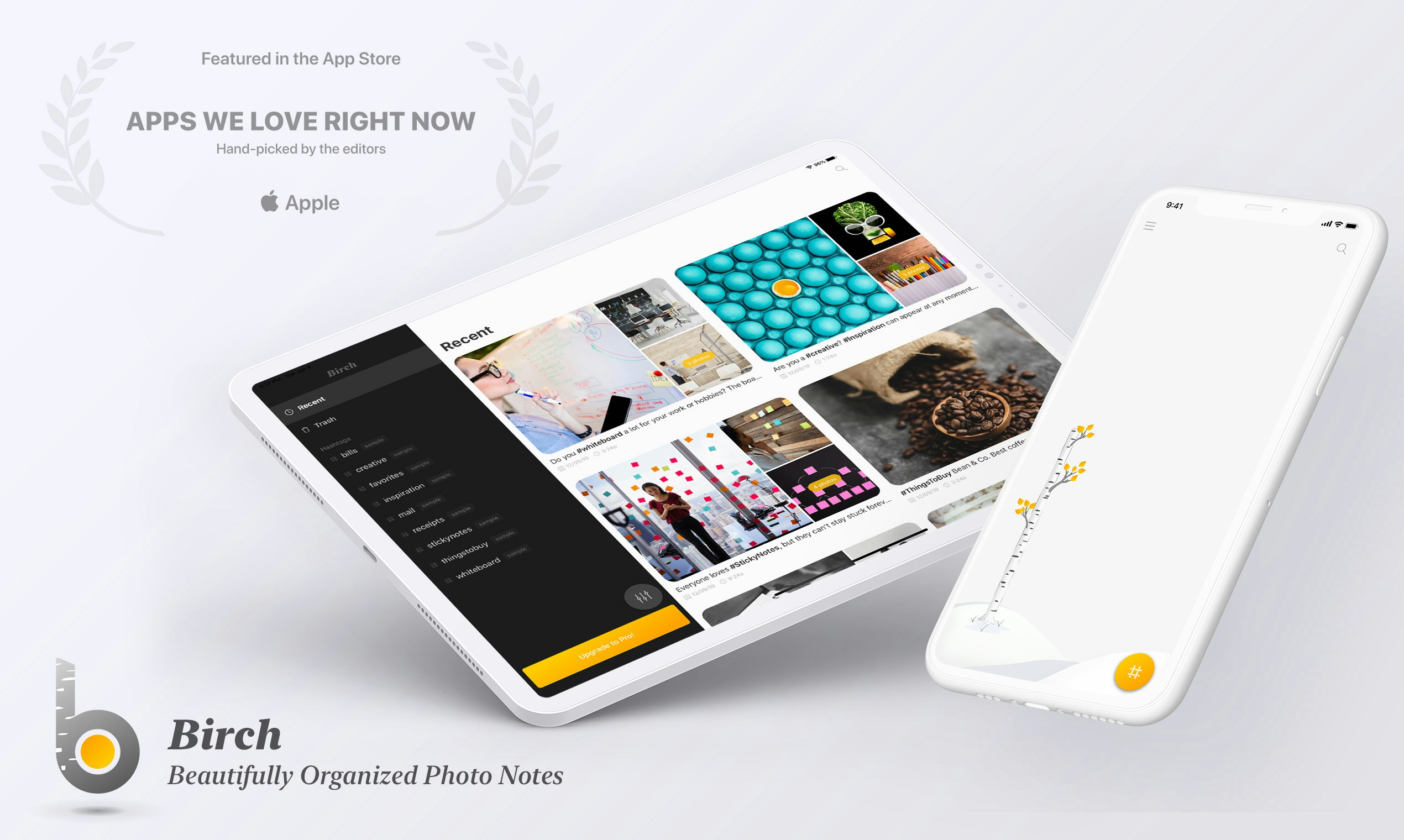 Birch 2.0 gallery image