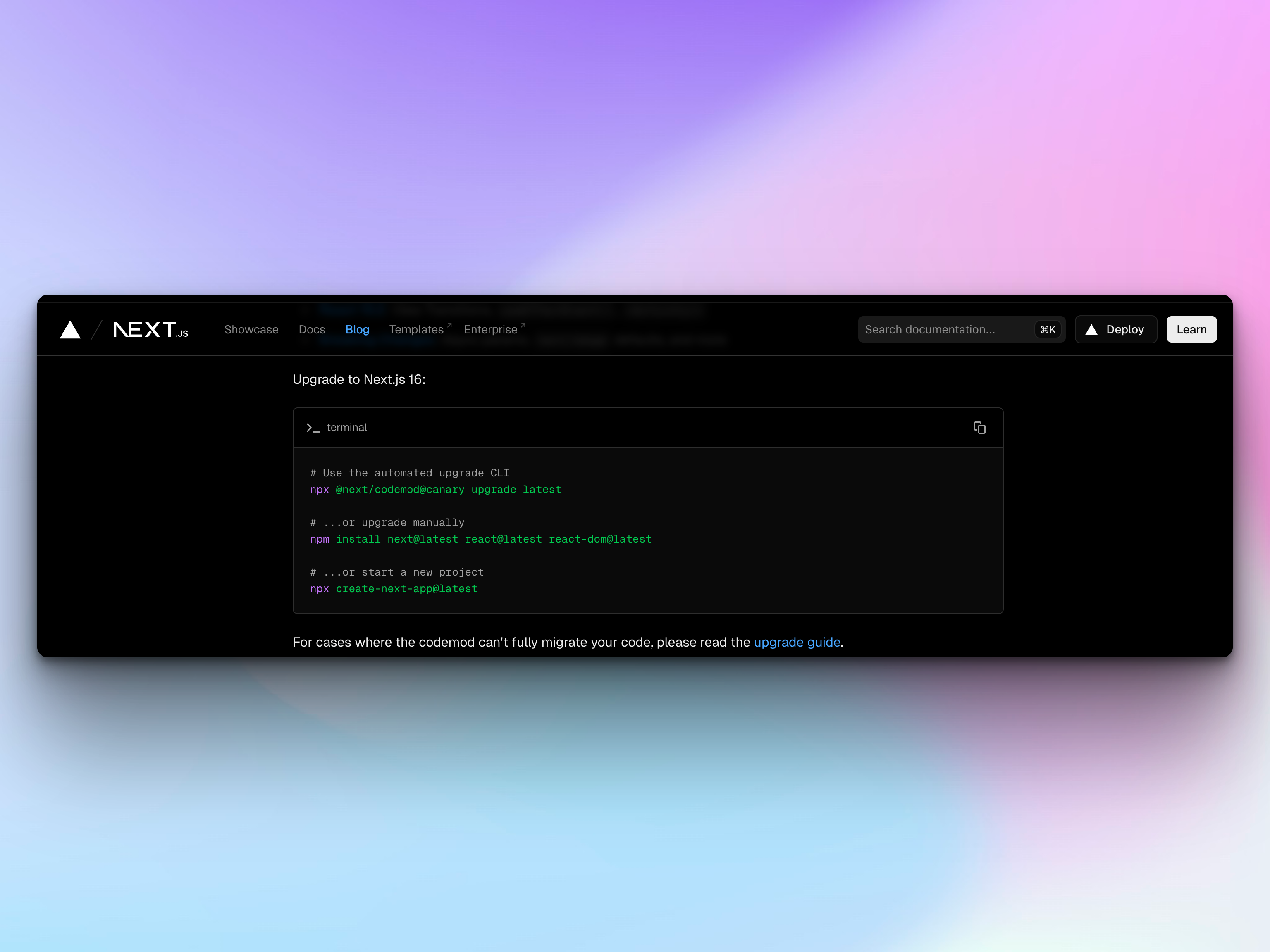 Next.js 16 gallery image