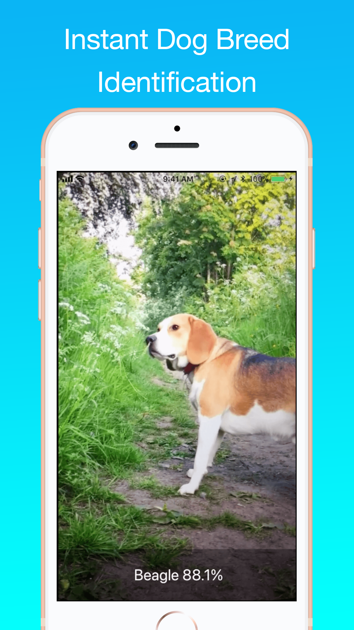 Dog Identifier gallery image