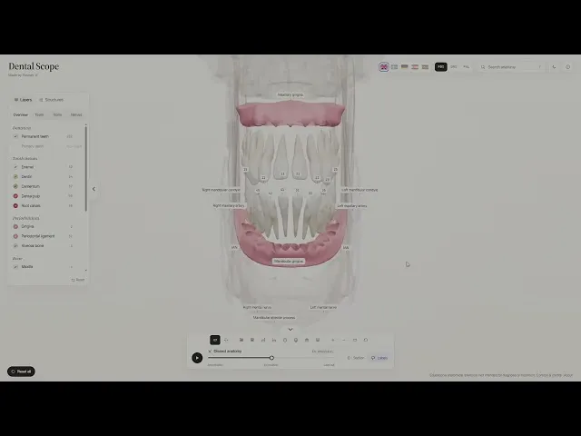 Dental Scope gallery image
