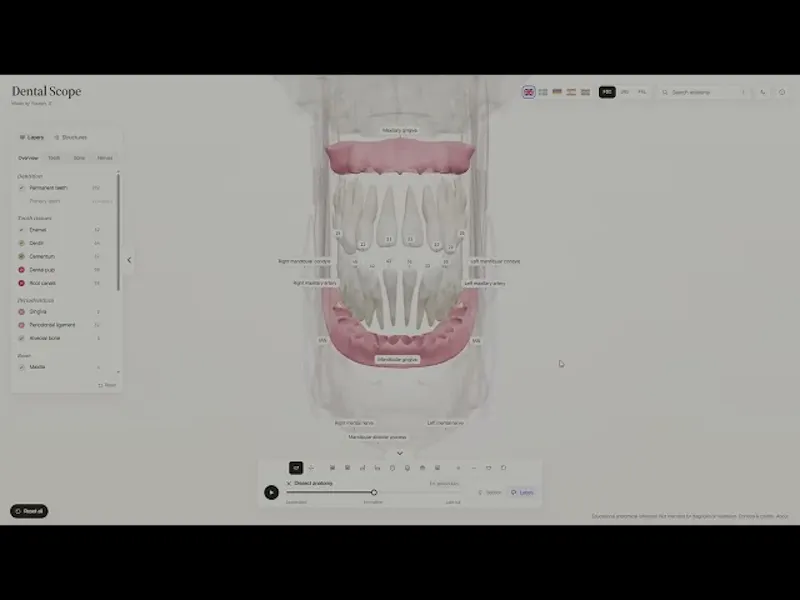 Dental Scope screenshot 1 (video preview)