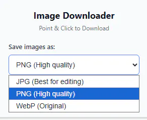 Image Downloader - WebP, JPG, PNG gallery image