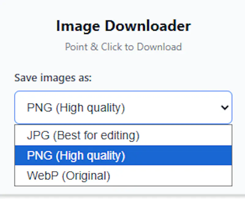 Image Downloader - WebP, JPG, PNG screenshot 4
