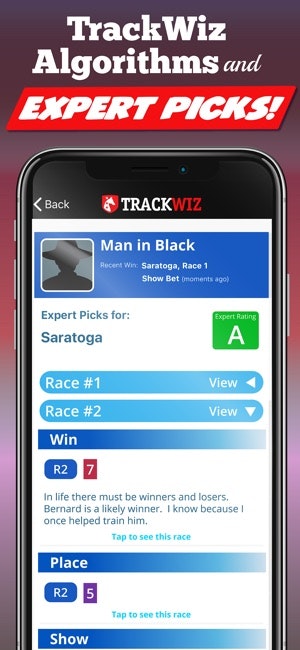 TrackWiz - Derby Ready 🏇 gallery image