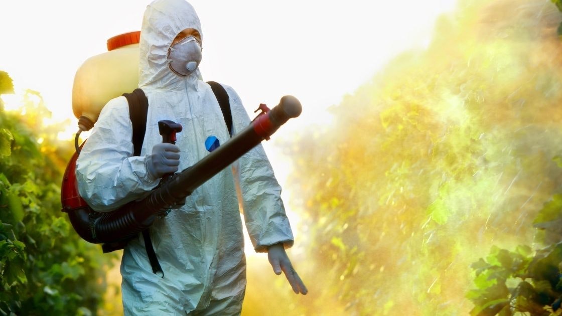 Pest Control Services in Delhi