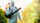 Pest Control Services in Delhi