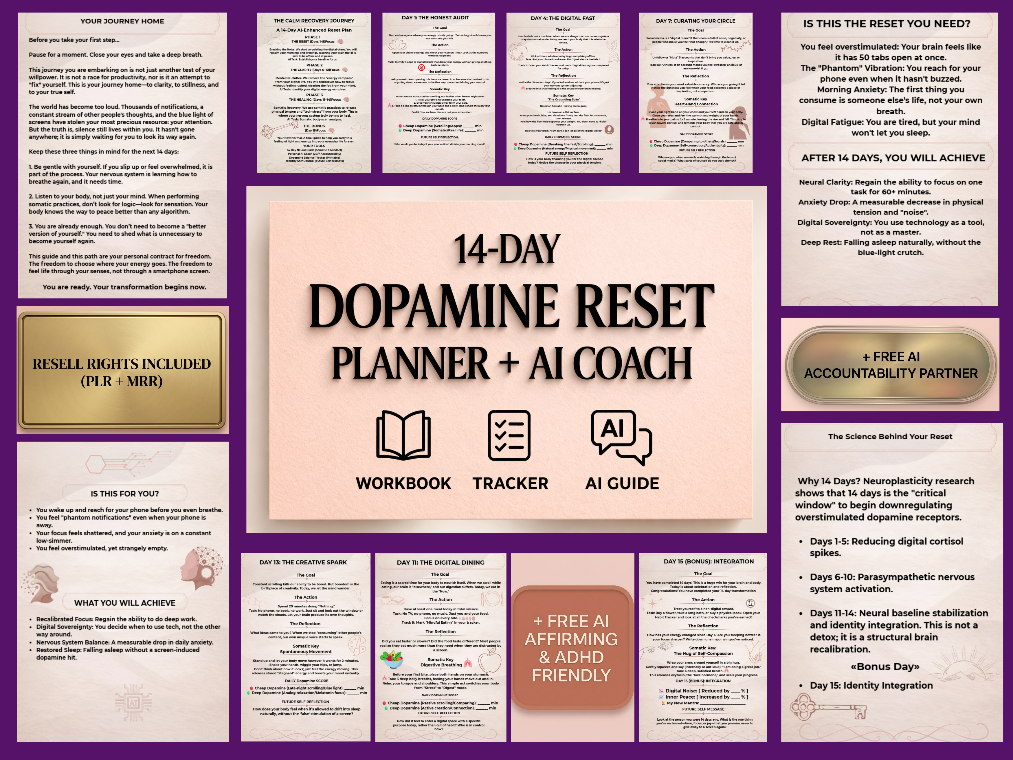 Neuro-Affirming 14 Day Dopamine Reset  gallery image