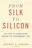 From Silk to Silicon