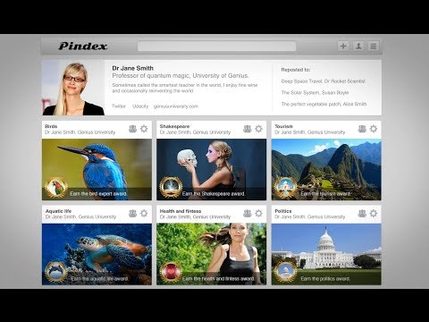 PINDEX gallery image