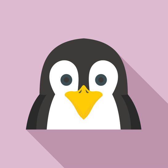 Koalas gallery image