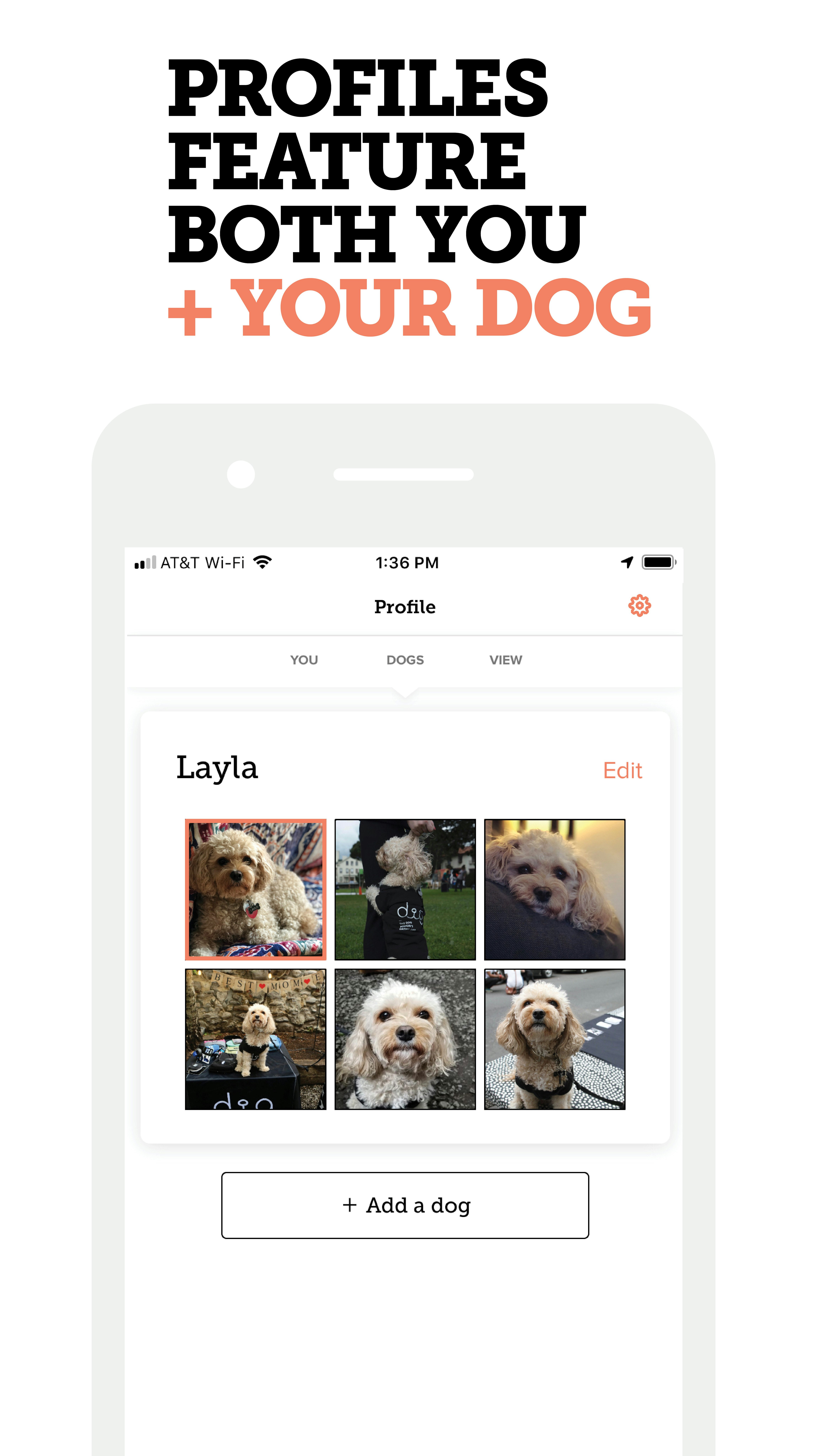 Dig 2.0 gallery image