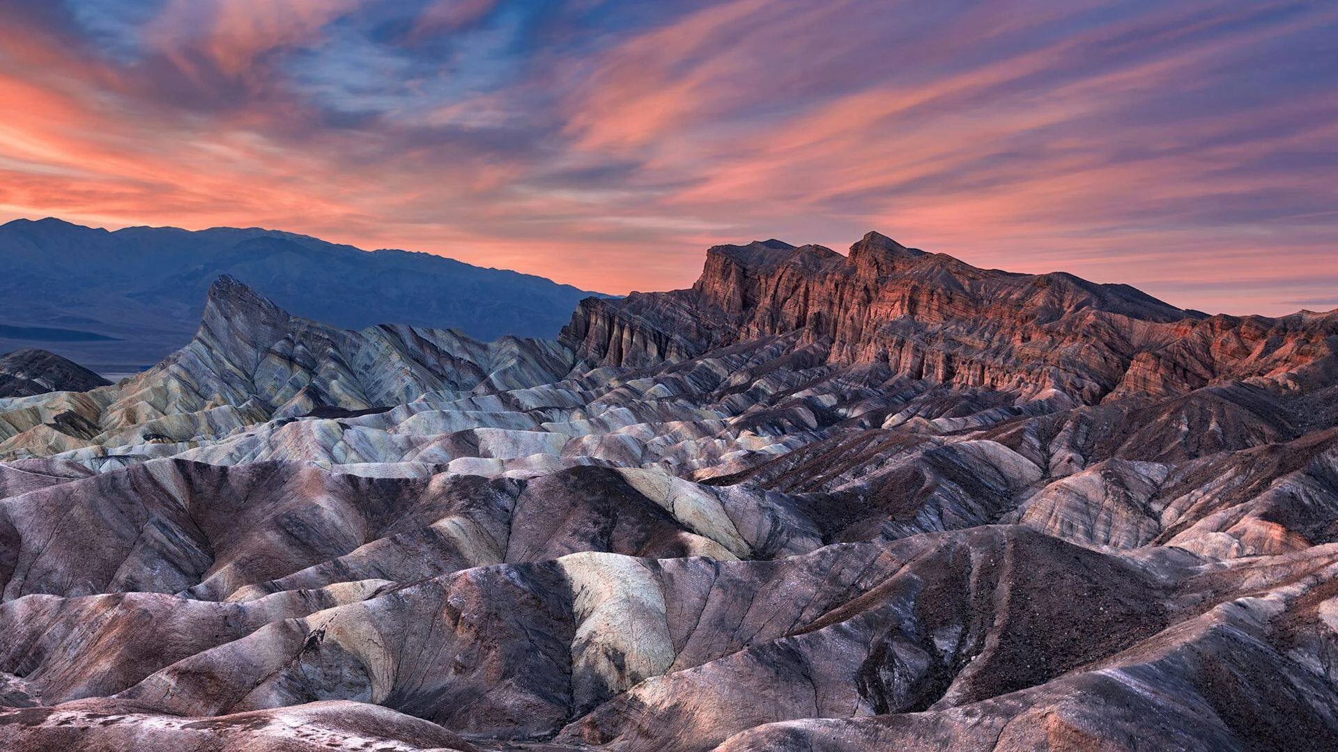 Mehmet Batuhan Süngü cover