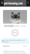 Pet-Knowing gallery image