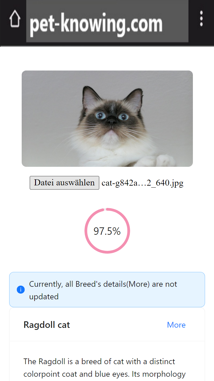 Haustierknowpuls - Haustier, Katze, Hund, Ai, React, Next.js, Strapi Medien 4
