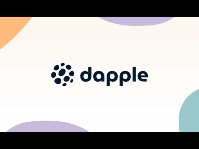 Dapple Dashboard