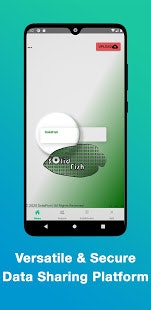 SolidFish gallery image