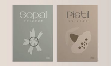 Petale - Feminine Brutalist Typeface gallery image