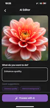 EditAI gallery image